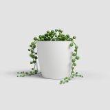 PE NOTRANJI LONEC ARTEVASI SAN REMO 9 CM BEL