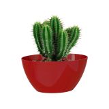 PE NOTRANJI LONEC BAHIA PLANT BOX DARK RED OVAL 22X13 CM