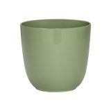 PE NOTRANJI LONEC KOSMAČ-KRUŠEC KARA 11.5 CM MINT ZELEN