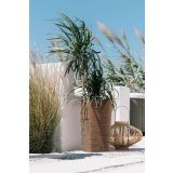 PE NOTRANJI LONEC PROSPERPLAST FURU KVADRAT ECO LES 295X295X550 MM TEAK