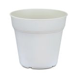 PE SADILNI LONEC KOSMAČ-KRUŠEC EKO 11 CM BEL