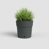 PE ZUNANJI LONEC ARTEVASI CAPRI WIDE 30CM ANTRACIT Z VODNO REZERVO