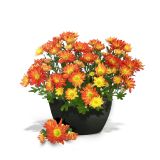 PE ZUNANJI LONEC Z VODNO REZERVO 28 CM