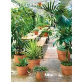 GLINENI ZUNANJI LONEC DEROMA CACHEPOT PERFETTO TERRACOTTA 24 CM