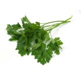 PETERŠILJ L'ORTO FRUTTIFERO TITAN KULTIPAK 8/1