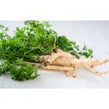 PETERŠILJ KORENAST L10 CM