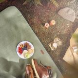 PIKNIK PROGRAM VONHAUS ODEJA VONSHEF 147 X 180CM, ZELENA