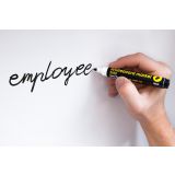 PIŠI/BRIŠI FLOMASTRI LEVIA 3160 ČRN 101101