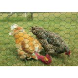 PLASTIFICIRANO PLETIVO ŠESTOGLATA ZN+PL 13X1.0MM 1X10M