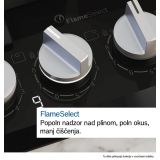 PLINSKA KUHALNA PLOŠČA BOSCH PRS9A6H40