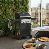 PLINSKI ŽAR C400 3+1G 112X49X104