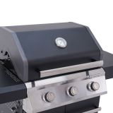 PLINSKI ŽAR NATERIAL NATERIAL KENTON II 3G