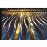 PLINSKI ŽAR NAPOLEON P500RSIBPSS-3-SI