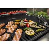 PLINSKI ŽAR WEBER SPIRIT E-310