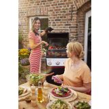 PLINSKI ŽAR WEBER SPIRIT E-325