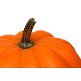 PLODOVKE BUČA 4 KOS