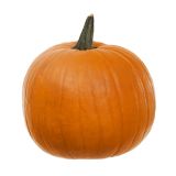 PLODOVKE BUČE L 10 CM