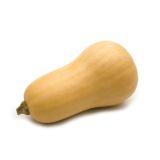 PLODOVKE BUČE L 10 CM