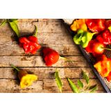 PLODOVKE ČILI L10 CM