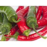 PLODOVKE FEFERONI L10 CM