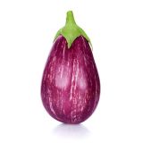 PLODOVKE JAJČEVEC L10 CM