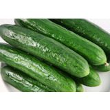 PLODOVKE KUMARE SOLATNE 6 KOS