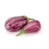 PLODOVKE L'ORTO FRUTTIFERO JAJČEVEC BELI 1/1 RANIA F1 L10