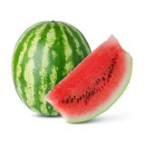 PLODOVKE LUBENICE L10 CM