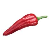 PLODOVKE PAPRIKA DULCE ITALIANO 4 KOS