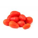 PLODOVKE PARADIŽNIK ČEŠ. HRUŠ. L10 CM