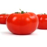 PLODOVKE PARADIŽNIK SRED. ZGODNJI L10 CM