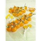 PLODOVKE VOLMARY CEPLJEN PARADIŽNIK L12 SOLENA SWEET YELLOW