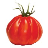 PLODOVKE VOLMARY PARADIŽNIK CORAZON F1 12 CM