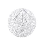 POGRINJEK DECORIS LIST, ZLAT ALI SREBRN FI 38 CM. SORT