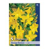 POLETI CVETOČA ČEBULICA HOLLAND BULB MARKET CROCOSMIA GEORGE DAVISON