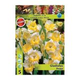 GLADIOLA HOLLAND BULB MARKET BUGGY