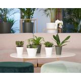 PE NOTRANJI LONEC PORTO ANTRACIT 14CM