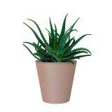 PE NOTRANJI LONEC PORTO TAUPE 16CM