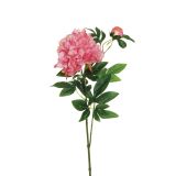 UMETNO CVETJE EVERGREENS POTONIKA SV.ROZA