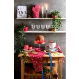 NOVOLETNI SET S PREDPASNIKOM, KUHINJSKO KRPO IN ROKAVICO