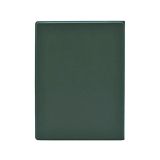 PREKLOPNI OVITEK ETUI ZA E-BRALNIK 7.8" BOOX NOVA AIR / NOVA AIR2 / NOTE AIR C, ZELEN