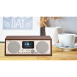 PRENOSNI RADIO BLAUPUNKT IR10BT