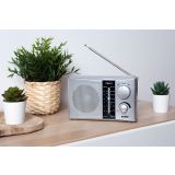 PRENOSNI RADIO NOVEEN PR451 SREBRN