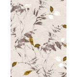 PRT NA ROLI BERBERIS 01 140