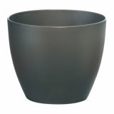 PE NOTRANJI LONEC KOSMAČ-KRUŠEC 9 CM ANTARCIT