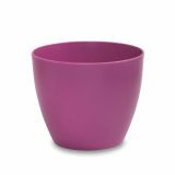 PE NOTRANJI LONEC KOSMAČ-KRUŠEC 9 CM T.VIJOLA