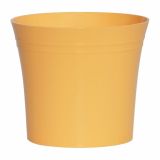 PE NOTRANJI LONEC DALIJA 11 CM