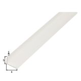 KOTNI PROFIL ALBERTS PVC, 25X20X2X2000 MM BEL