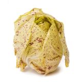 LISTNA ZELENJAVA L'ORTO FRUTTIFERO RADIČ 8/1 VAR. DI CHIOGGIA KULTIPAK