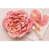 LISTNA ZELENJAVA L'ORTO FRUTTIFERO RADIČ GRUMOLO 8/1 GRUMOLO ROSA KULTIPAK